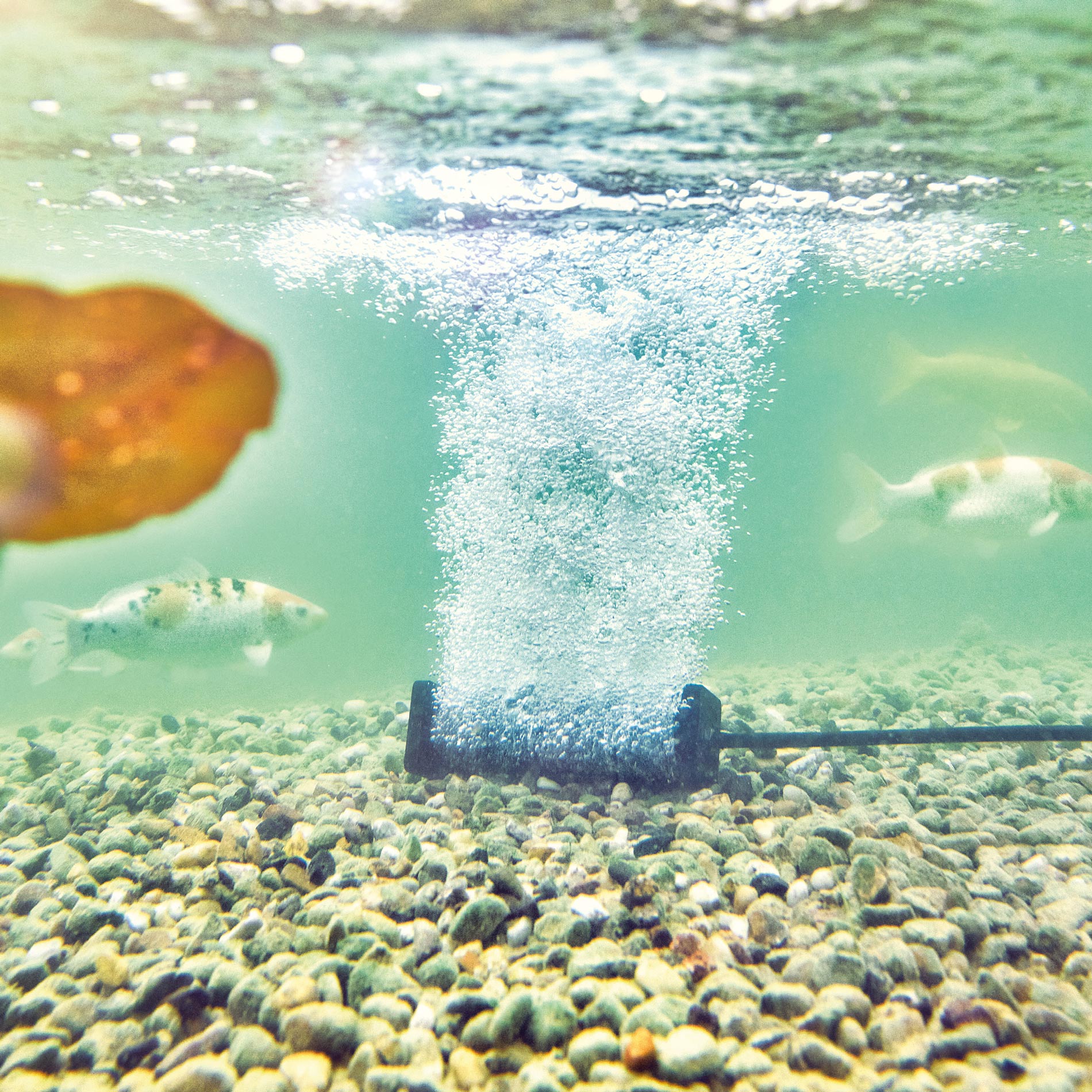 AquaOxy Aerator Bar S 气泵增氧棒